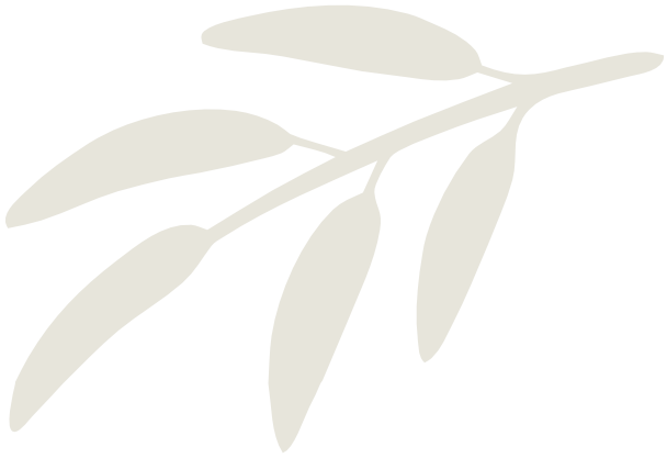 Michelle Francis Holistic Therapy